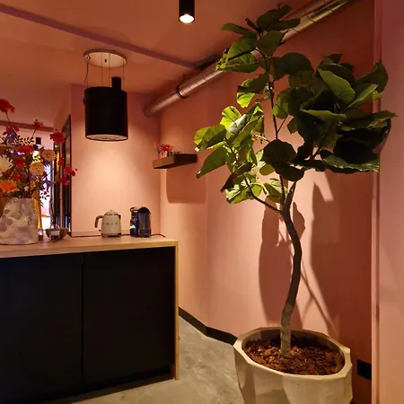 Flossy Bed & Boutique 住宿加早餐酒店 豪达