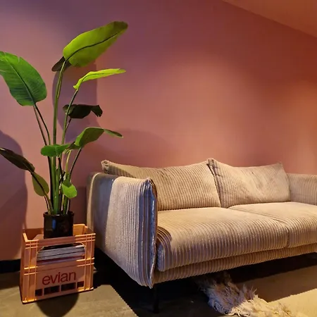 住宿加早餐酒店 Flossy Bed & Boutique 3*