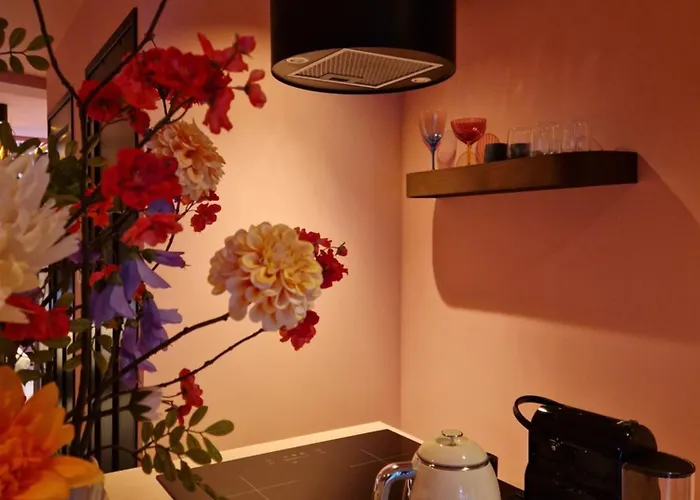 Flossy Bed & Boutique Oda ve Kahvaltı Gouda